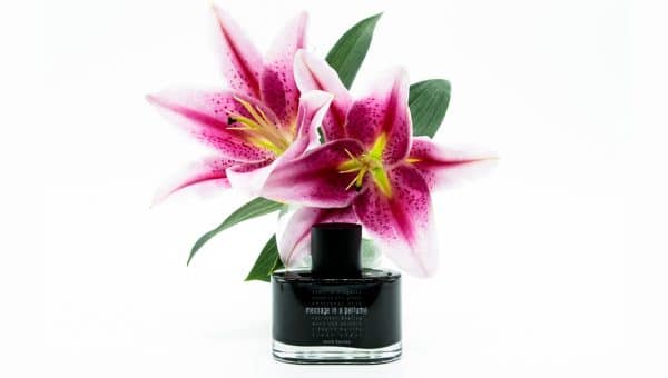 Mark Buxton Perfumes | Home